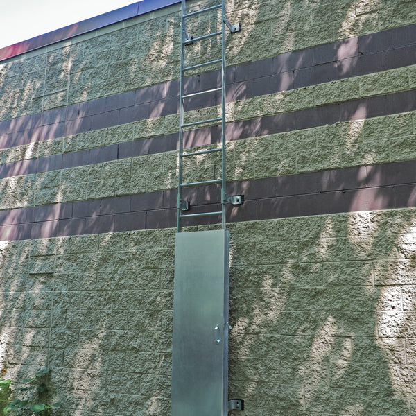 LadderGuard: Ladder Door Security System – Dakota Safety
