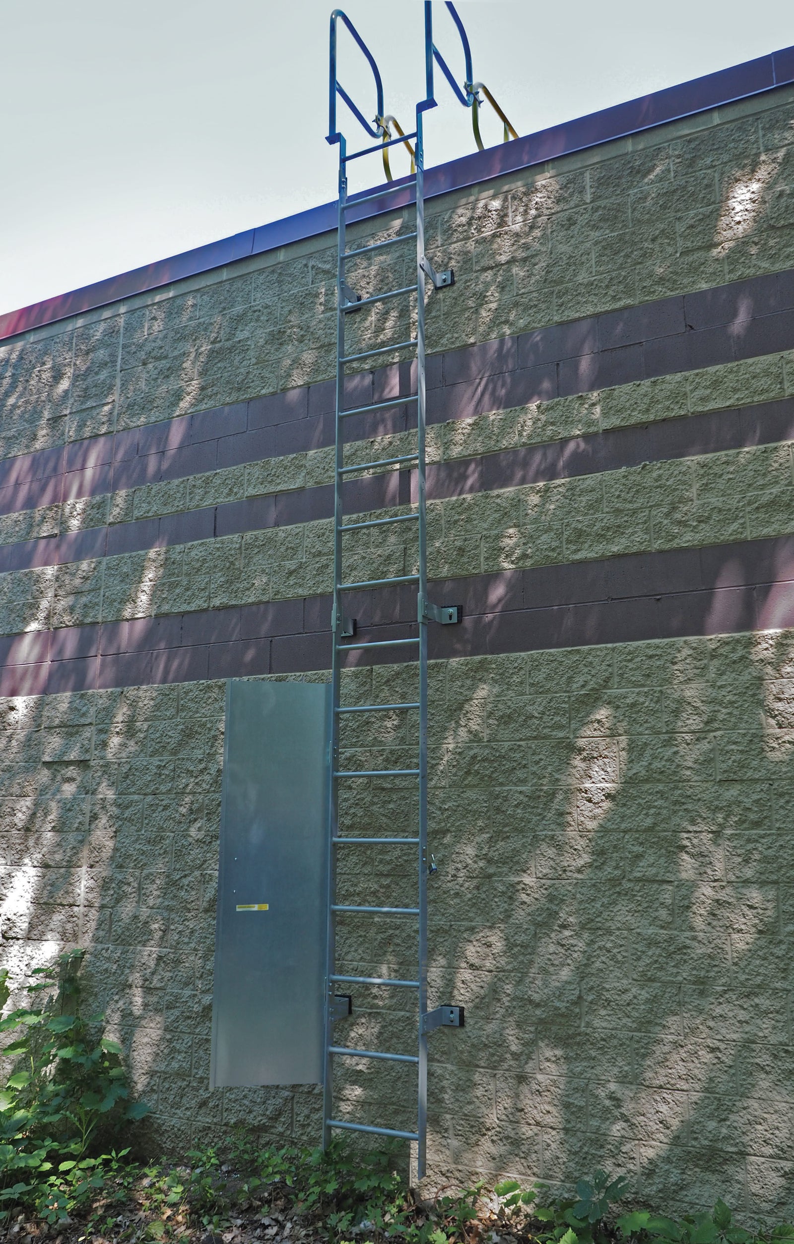 LadderGuard: Ladder Door Security System – Dakota Safety
